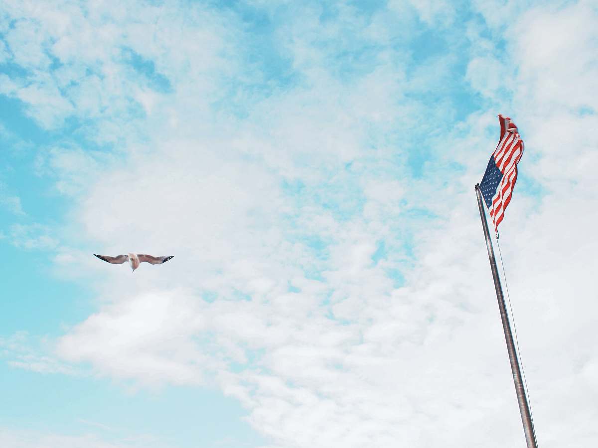 staten island ferry bird flying near American flag under white clouds during daytime new york
